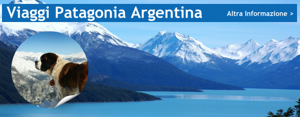 Viaggio patagonia